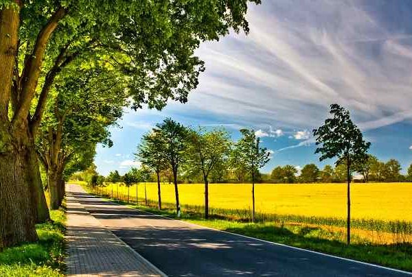 کتاب تابستانی با والری؛ سفری عاشقانه و فلسفی